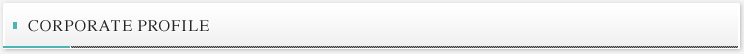 Coporate profile