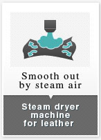Steam-air
