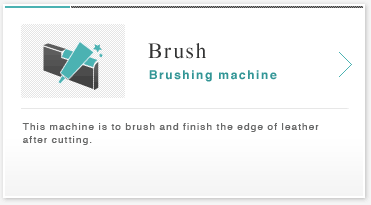 Brush