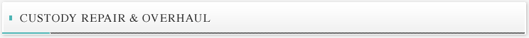 Custoby repair and Overhaul